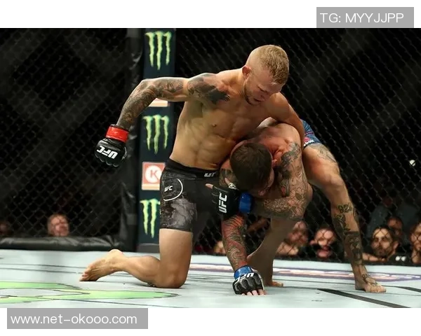 埃德加与迪拉肖巅峰对决UFC赛场再掀风云之战 埃德加与迪拉肖巅峰对决UFC赛场再掀风云之战