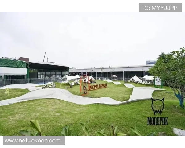 广州飞盘队在滑板精英赛中的比赛经验与表现分析