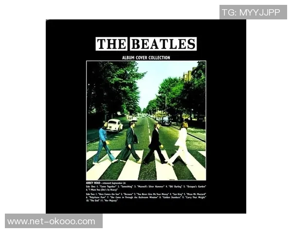 斯通斯的传奇之旅：从摇滚乐坛到文化符号的演变与影响